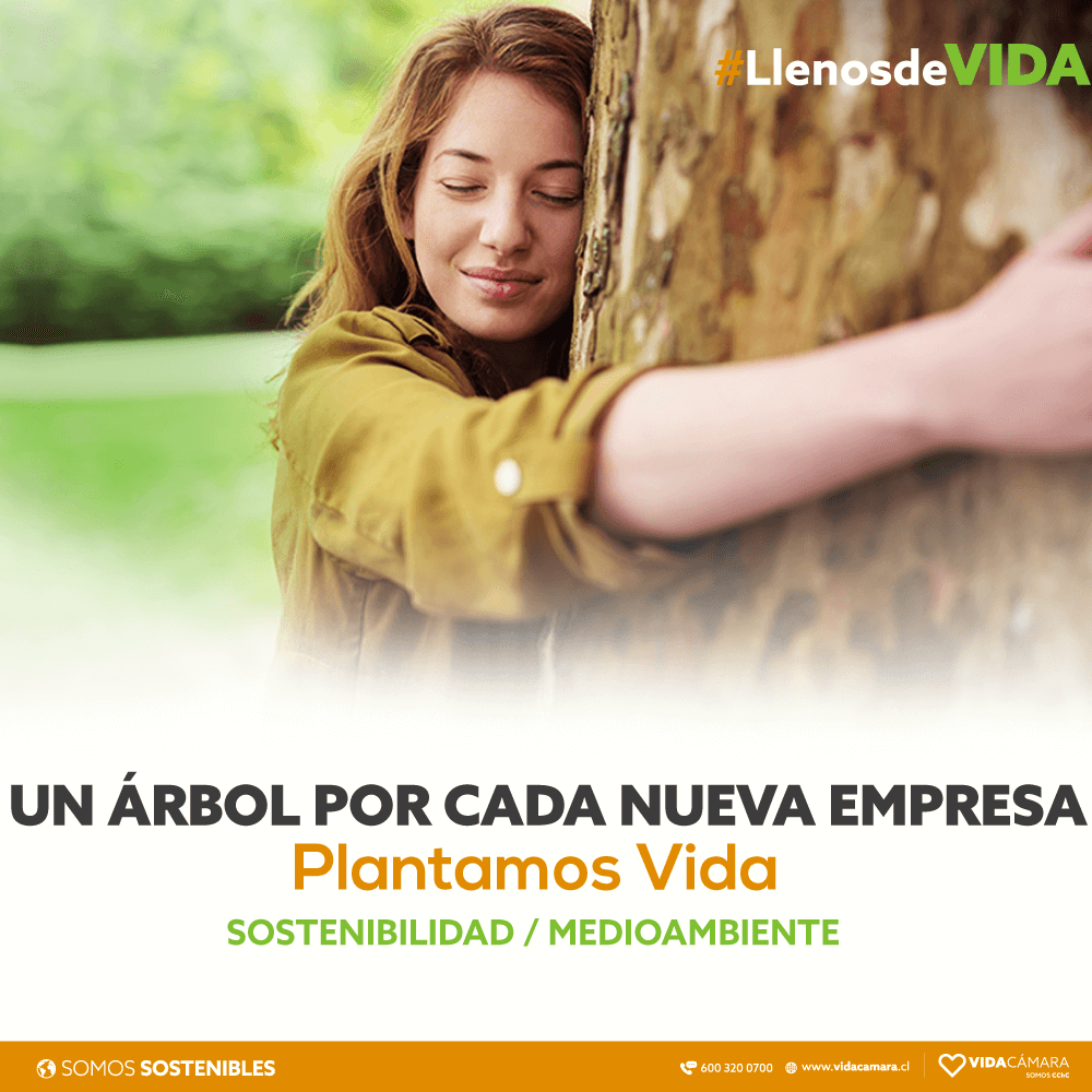arbol Concurso Reforestemos