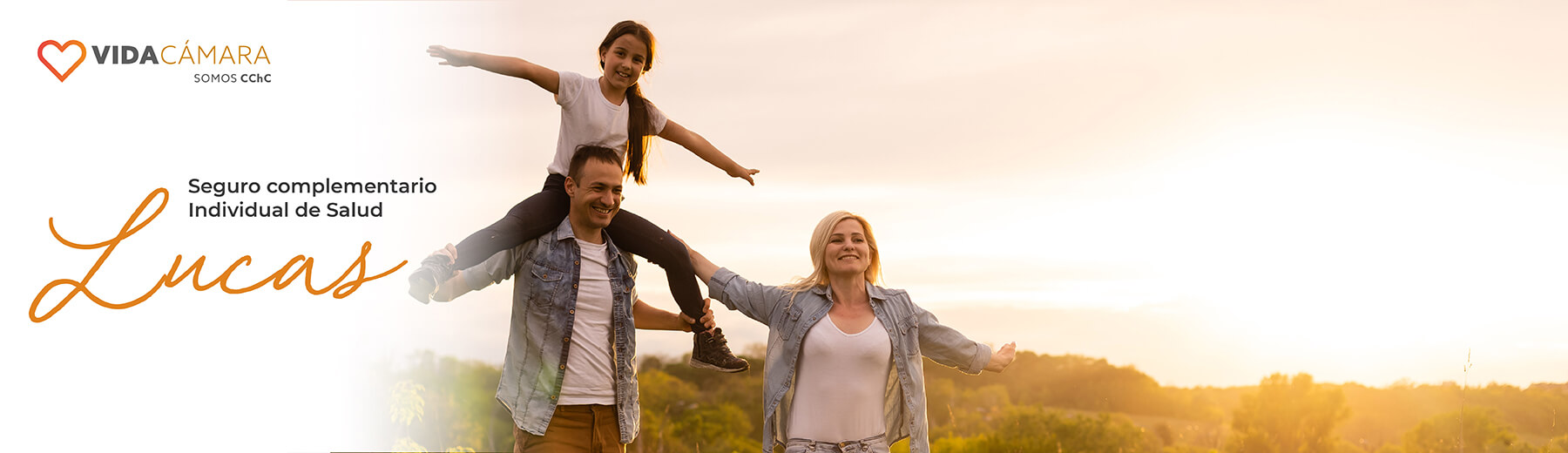 Seguro Complementario de Salud Vida Camara Seguro Complementario de Salud Vida Camara