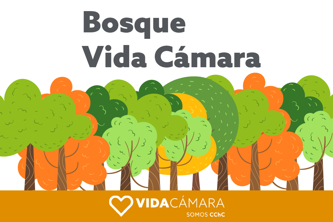 Bosque Vida Cámara