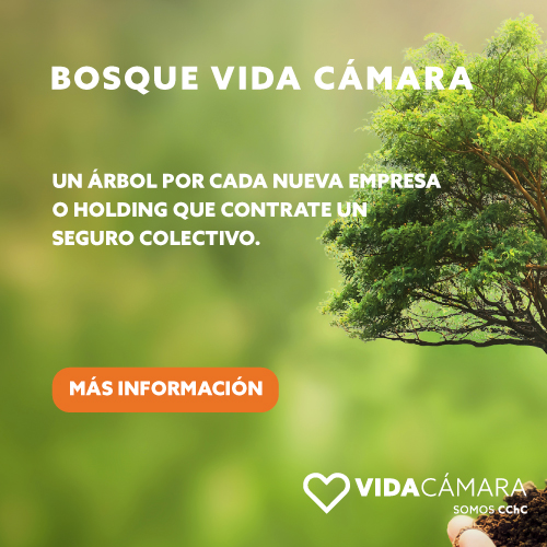 BOSQUE BOSQUEVIDACAMARA