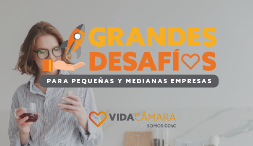 Grandes Desafíos para Pequeñas y Medianas Empresas