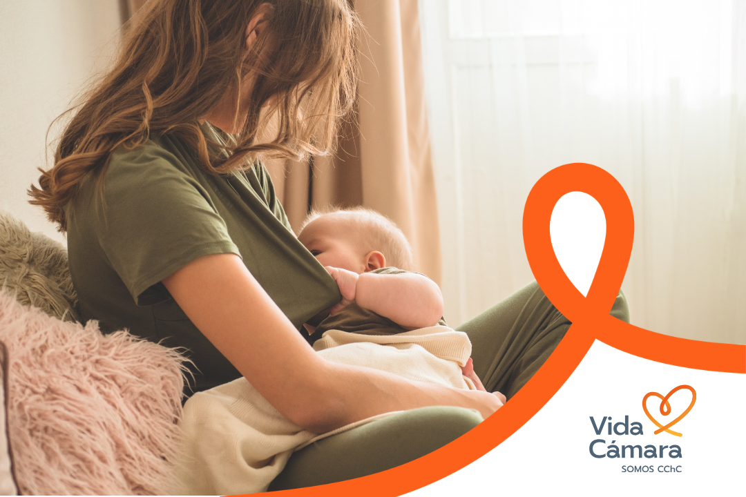 Lactancia materna: beneficios, nutrición y inmunidad