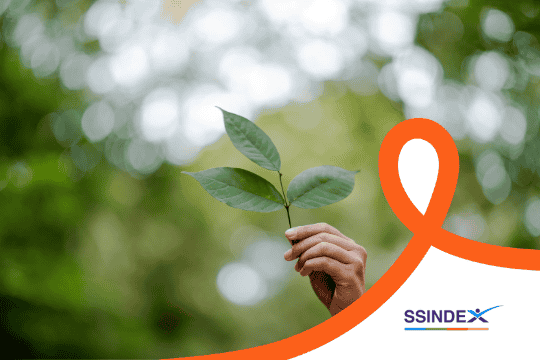 Vida cámara consigue por séptimo año consecutivo sello SSINDEX